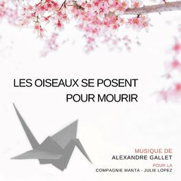 Album cover of Les oiseaux se posent pour mourir (Musique Originale)