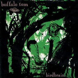 Album cover of Birdbrain