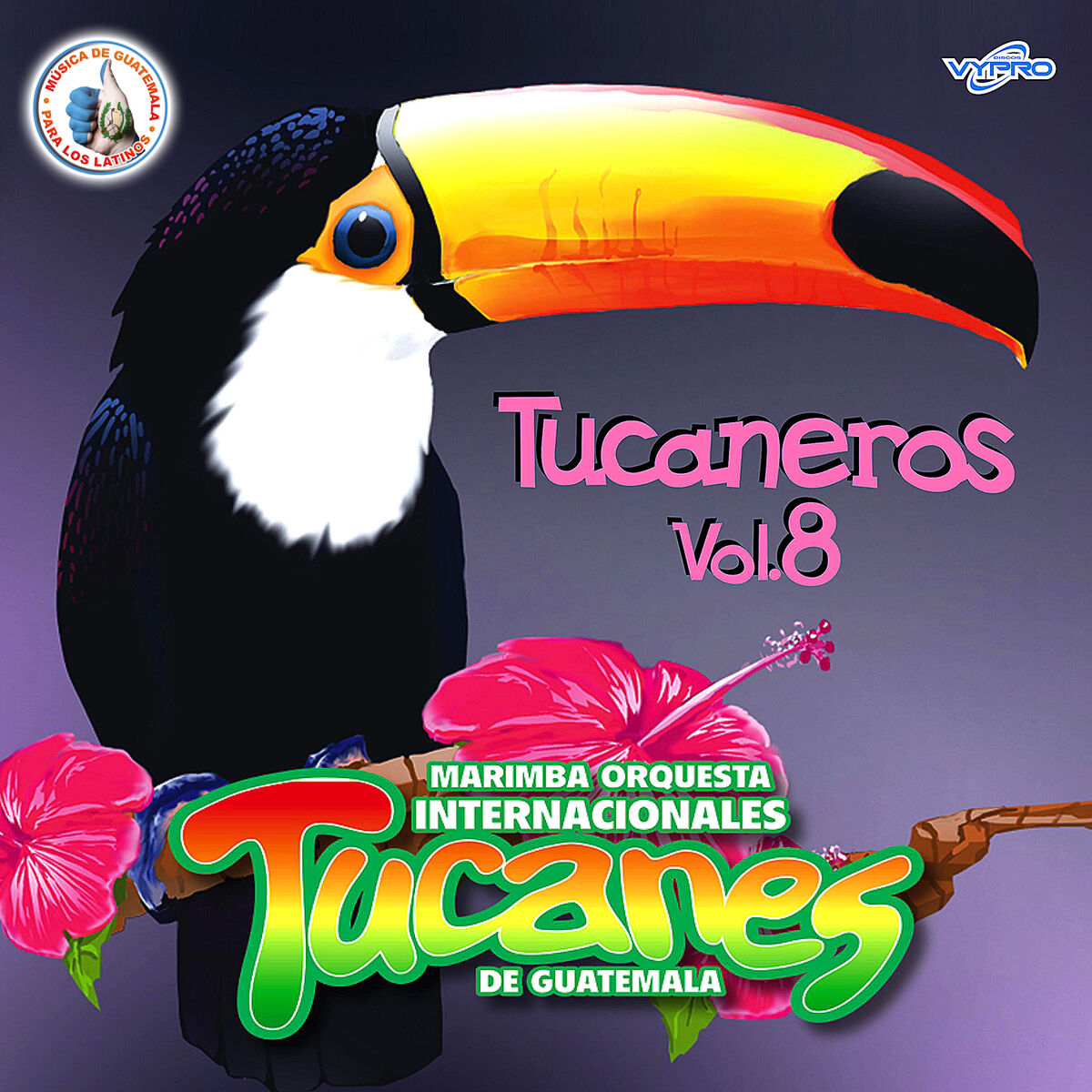 Marimba Orquesta Internacionales Tucanes de Guatemala - Cumbias Tucaneras  6: Apretaito / Chicharron Con Pelos / Aguita de Calzón / La Chispita:  Canción con letra | Deezer