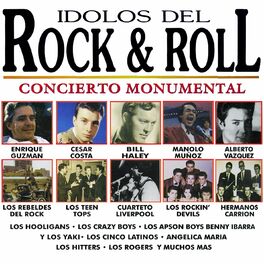 Album cover of Idolos del Rock & Roll