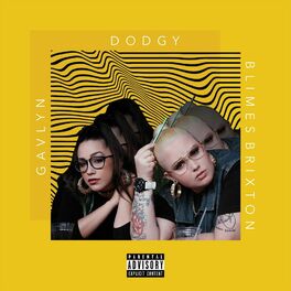 Album cover of Dodgy
