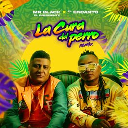 Album cover of La Cura del Perro (Remix)