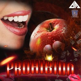 Album cover of Prohibido
