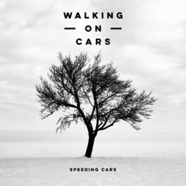 Album cover of Speeding Cars (Acoustic Version)