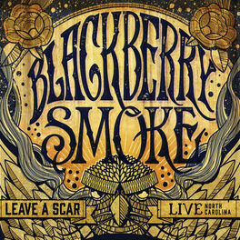 Album cover of Leave a Scar: Live in North Carolina