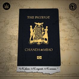 Album cover of The Patriot