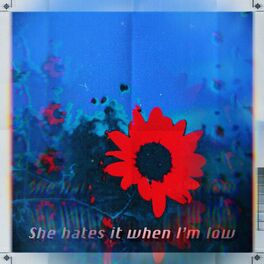Album cover of She hates it when I'm low (feat. Good Riddance)