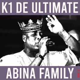Album cover of Abina Family, Vol. 3 (Live)