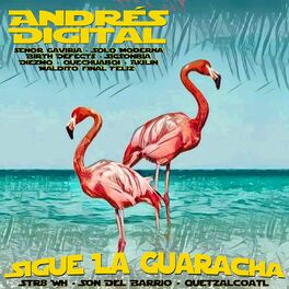 Album cover of Sigue La Guaracha - the Art of Remix