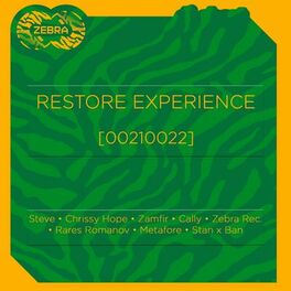 Album cover of Restore Experience (00210022)