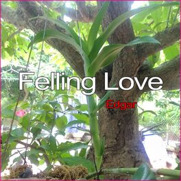 Album cover of Felling Love