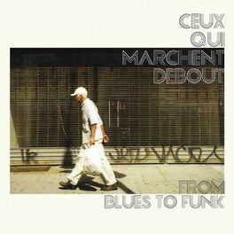 Album cover of From Blues to Funk