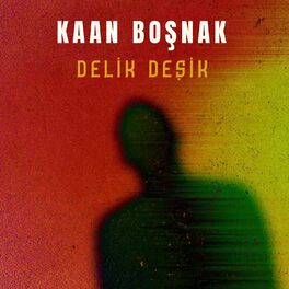 Album cover of Delik Deşik