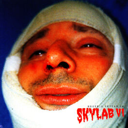 Album cover of Skylab VI