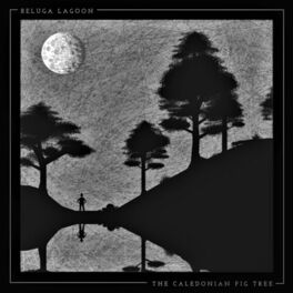 Album cover of The Caledonian Fig Tree