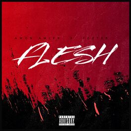 Album cover of Flesh