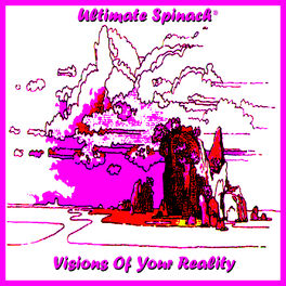 Album cover of Visions of Your Reality