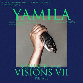 Album cover of Visions VII (Scanner remix)