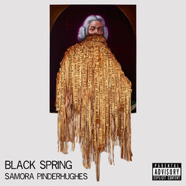 Album cover of BLACK SPRING