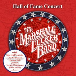 Album cover of Hall of Fame Concert