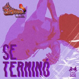 Album cover of Se Terminó