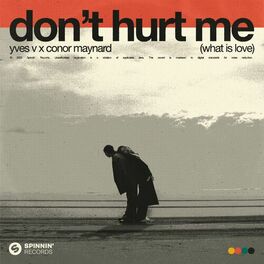 Album cover of Don't Hurt Me (What Is Love)
