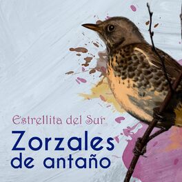 Album cover of Zorzales de Antaño / Estrellita del Sur