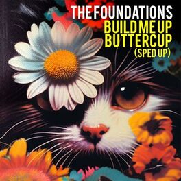 Album cover of Build Me Up Buttercup (Re-Recorded - Sped Up)