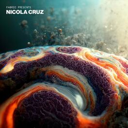 Album cover of fabric presents Nicola Cruz