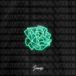 Album cover of Curte Essa Vibe