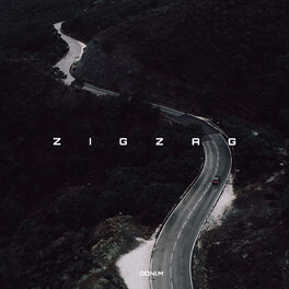 Album cover of Zig Zag
