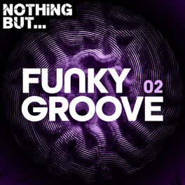 Album cover of Nothing But... Funky Groove, Vol. 02