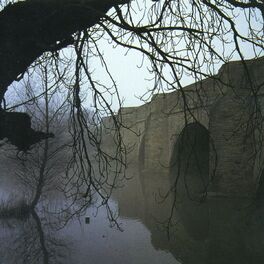 Album cover of The Mirror Test