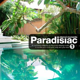 Album cover of Paradisiac 01