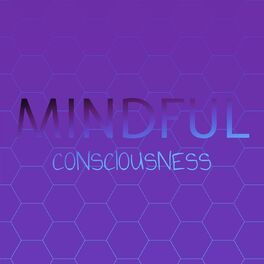 Album cover of Mindful Consciousness