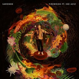 Album cover of Firewood