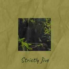 Album cover of Strictly Jive