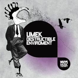 Album cover of Destructible Enviroment