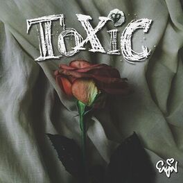 Album cover of Toxic