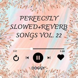 Album cover of Perfectly Slowed+Reverb Songs Vol. 22