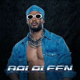 Album cover of Balaleen