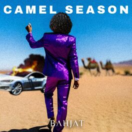 Album cover of Camel Season