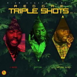 Album cover of Reggae Triple Shots, Vol. 2