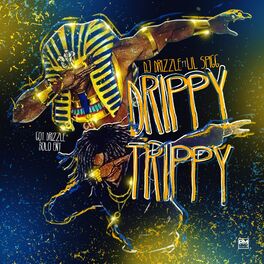 Album cover of Drippy Trippy (feat. Lil Spigg)