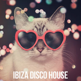 Album cover of Ibiza Disco House