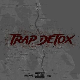 Album cover of TRAP DETOX (feat. Ness)
