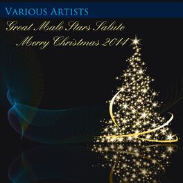 Album cover of Great Male Stars Salute Merry Christmas 2014