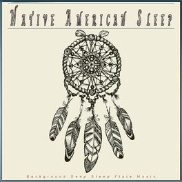 Album cover of Native American Sleep: Background Deep Sleep Flute Music