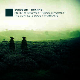 Album cover of F. Schubert, J. Brahms: The Complete Duos - Phantasie