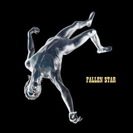 Album cover of Fallen Star